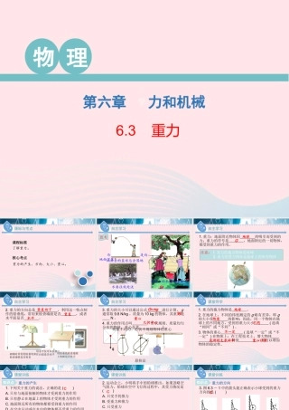 八年级物理下册 6.3 重力课件 (新版)粤教沪版 课件-2