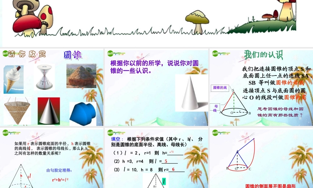 九年级数学上册 244弧长和扇形的面积-圆锥的侧面展开图课件 人教新课标版 课件