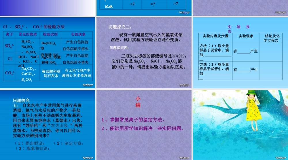 人教版初三化学常见离子的鉴别 课件