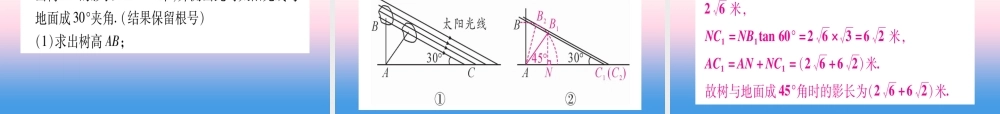 九年级数学下册 小专题(一)解直角三角形的应用课堂导练课件(含中考真题)(新版)北师大版 课件