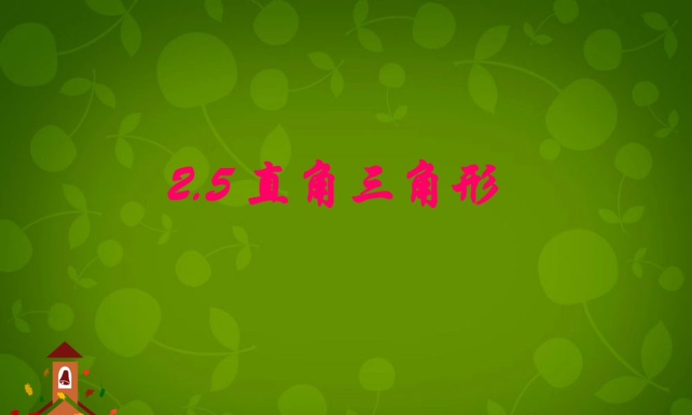 八年级数学上册 2.5 直角三角形课件 浙教版 课件