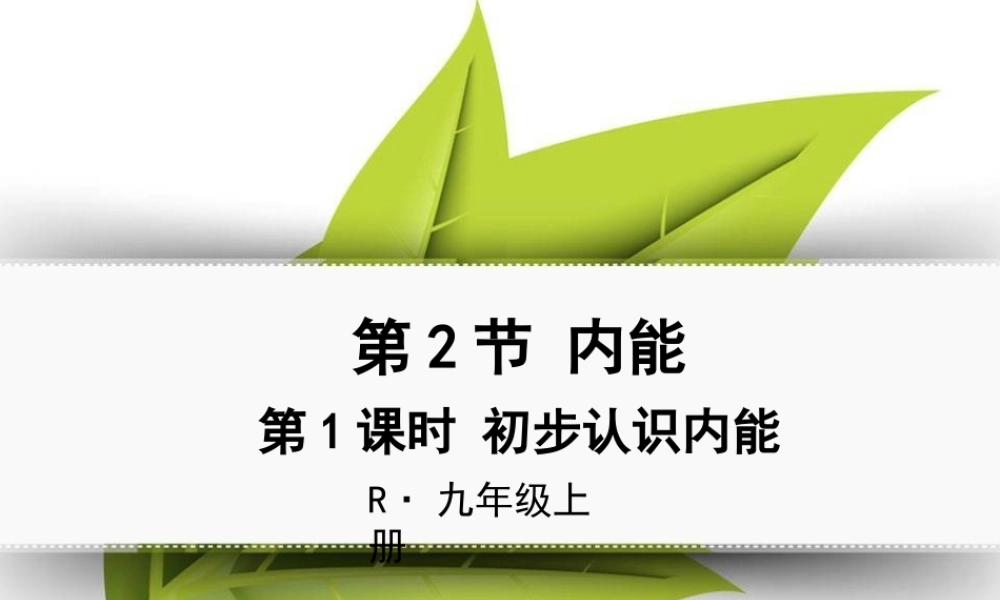 第1课时初步认识内能