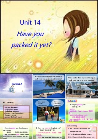 九年级英语Unit14课件 人教新目标版 课件