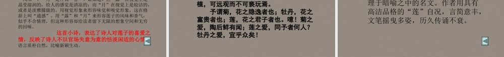 中学七年级语文下册 荷课件 语文版 课件