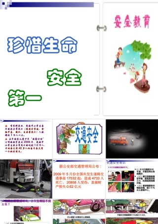“安全教育”主题班会（共24张PPT）