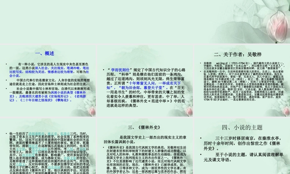 云南省德宏州梁河县一中高二语文(儒林外使)课件 人教版 课件