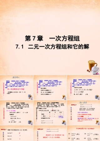 七年级数学下册 7.1 二元一次方程组和它的解课件 (新版)华东师大版 课件