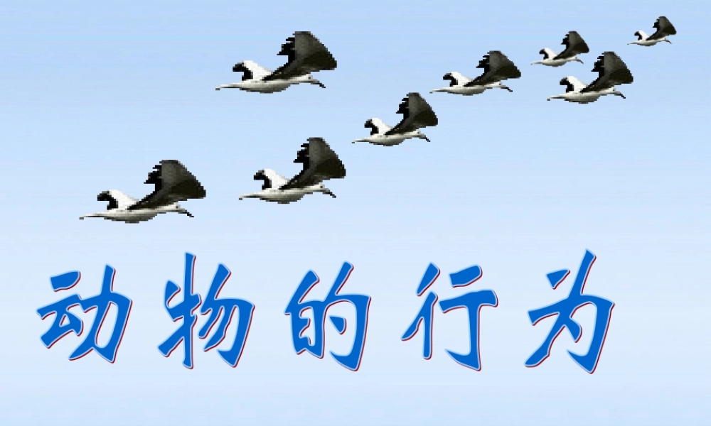七年级生物上册 第二章生物圈中的动物第二节动物的行为课件1 济南版 课件