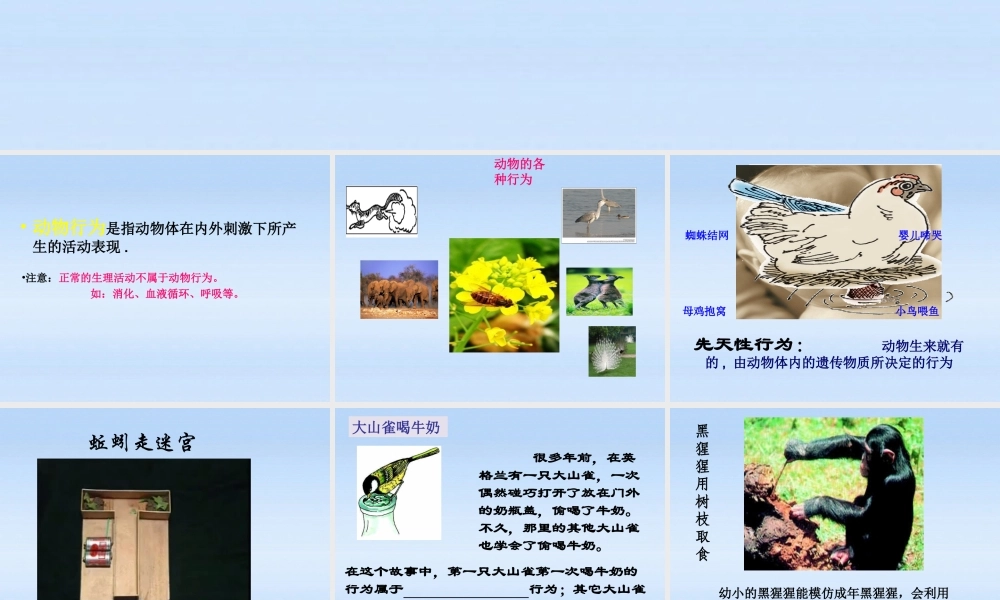 七年级生物上册 第二章生物圈中的动物第二节动物的行为课件1 济南版 课件