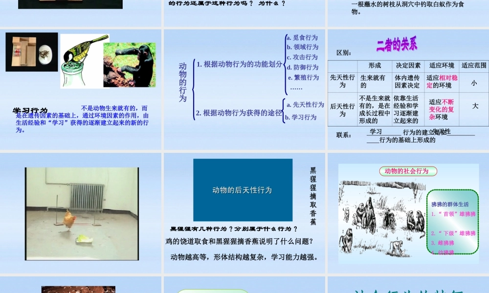 七年级生物上册 第二章生物圈中的动物第二节动物的行为课件1 济南版 课件