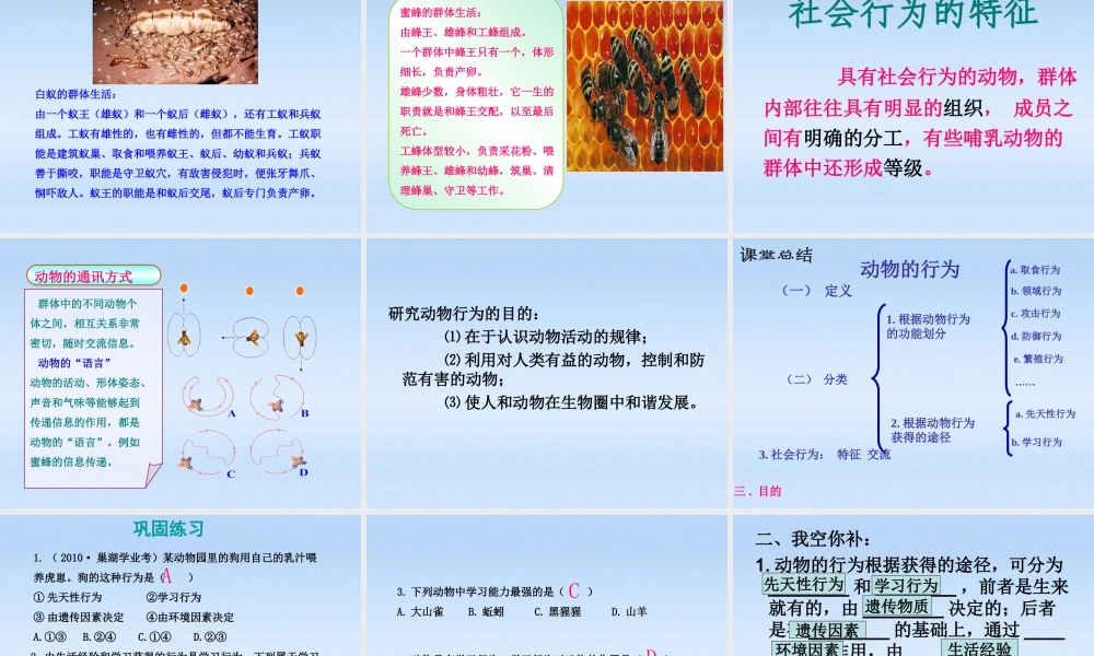 七年级生物上册 第二章生物圈中的动物第二节动物的行为课件1 济南版 课件