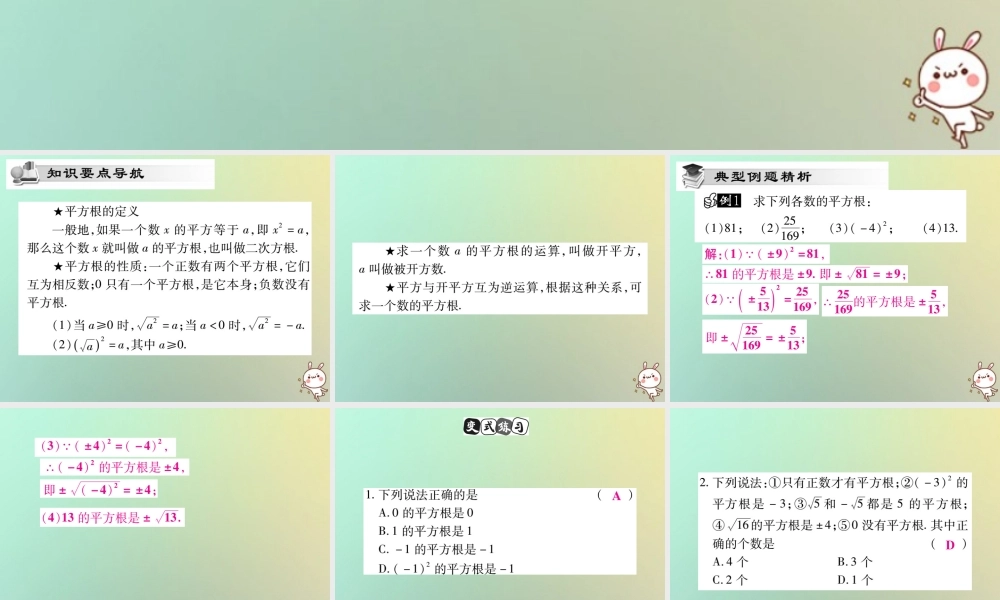 八年级数学上册 第二章 实数 2.2 平方根(第2课时)习题课件 (新版)北师大版 课件