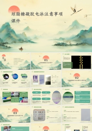 琼脂糖凝胶电泳注意事项课件