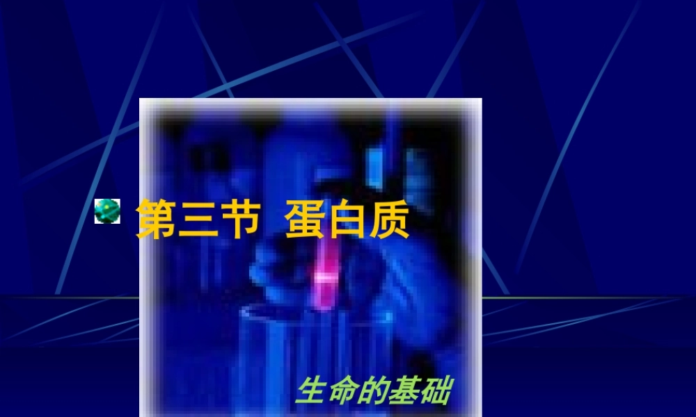 《生命的基础—蛋白质》课件2