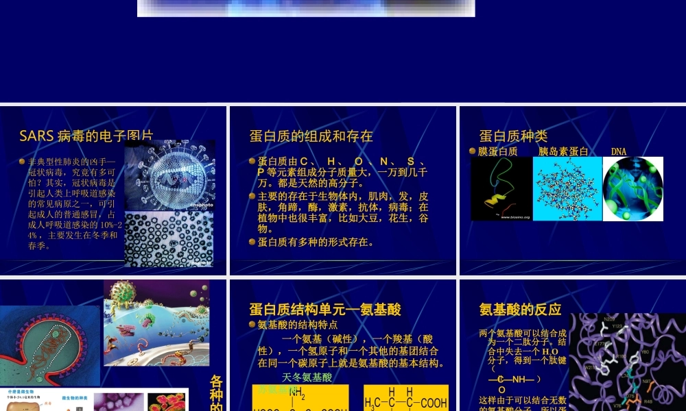 《生命的基础—蛋白质》课件2