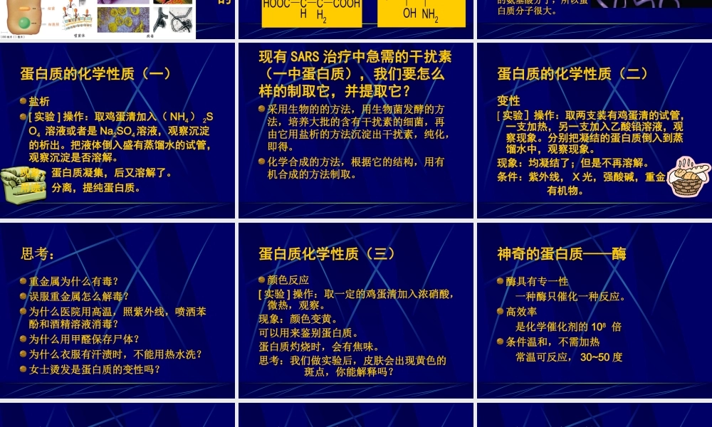 《生命的基础—蛋白质》课件2
