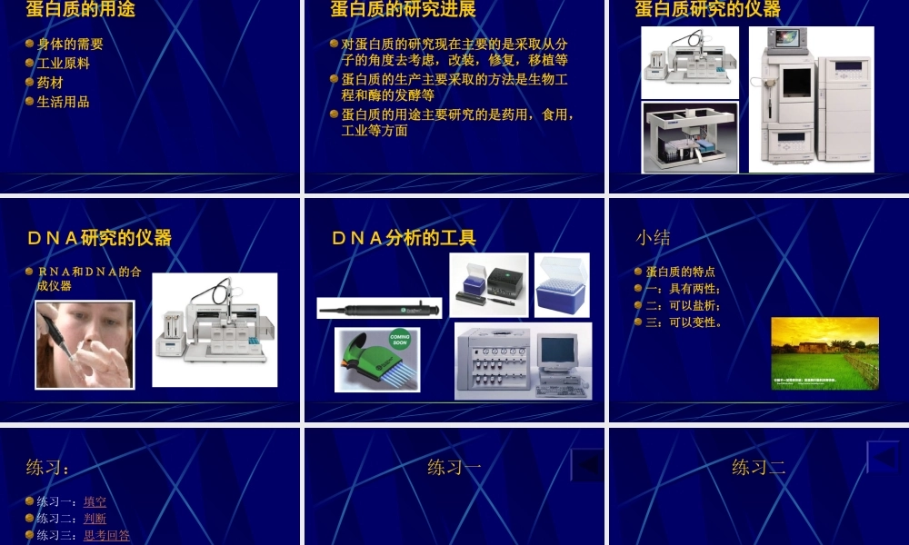 《生命的基础—蛋白质》课件2