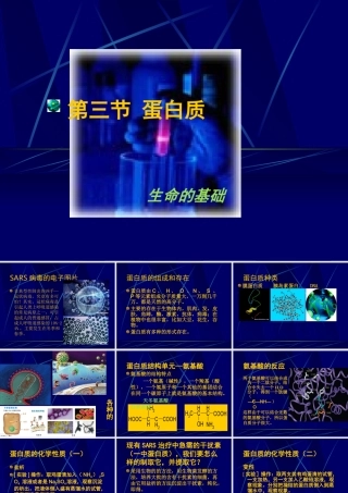《生命的基础—蛋白质》课件2