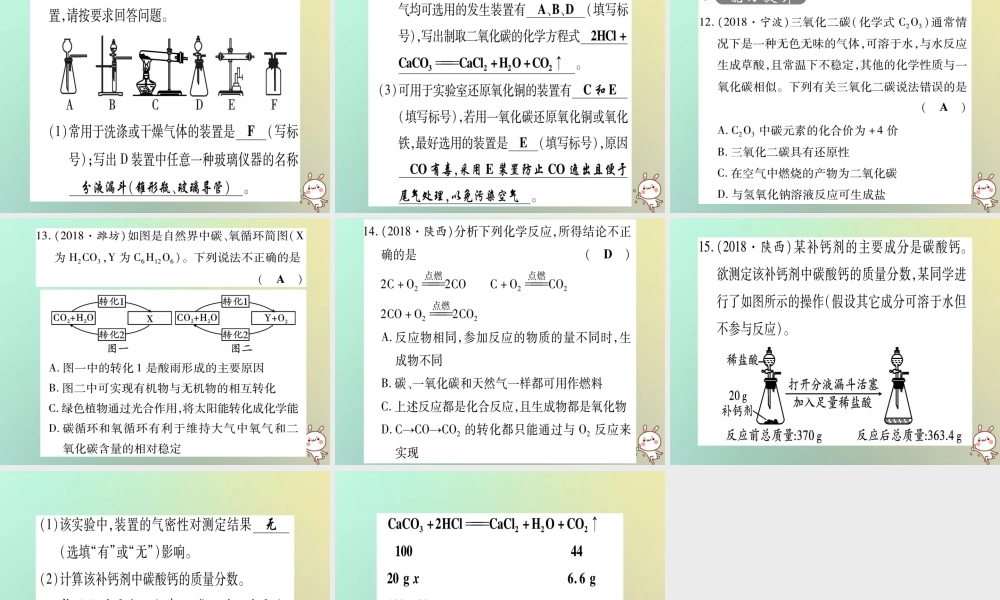 中考化学准点备考复习 第一部分 教材系统复习 第6讲 碳和碳的氧化物复习作业课件 新人教版 课件