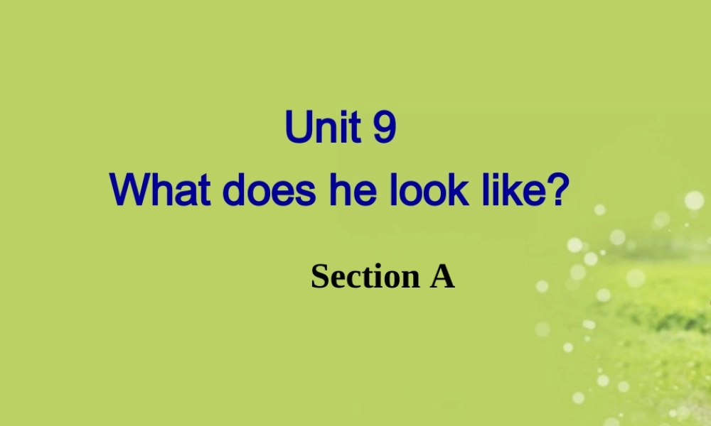 2013年新目标七年级英语下册Unit9_What_does_he_look_like_Section_A