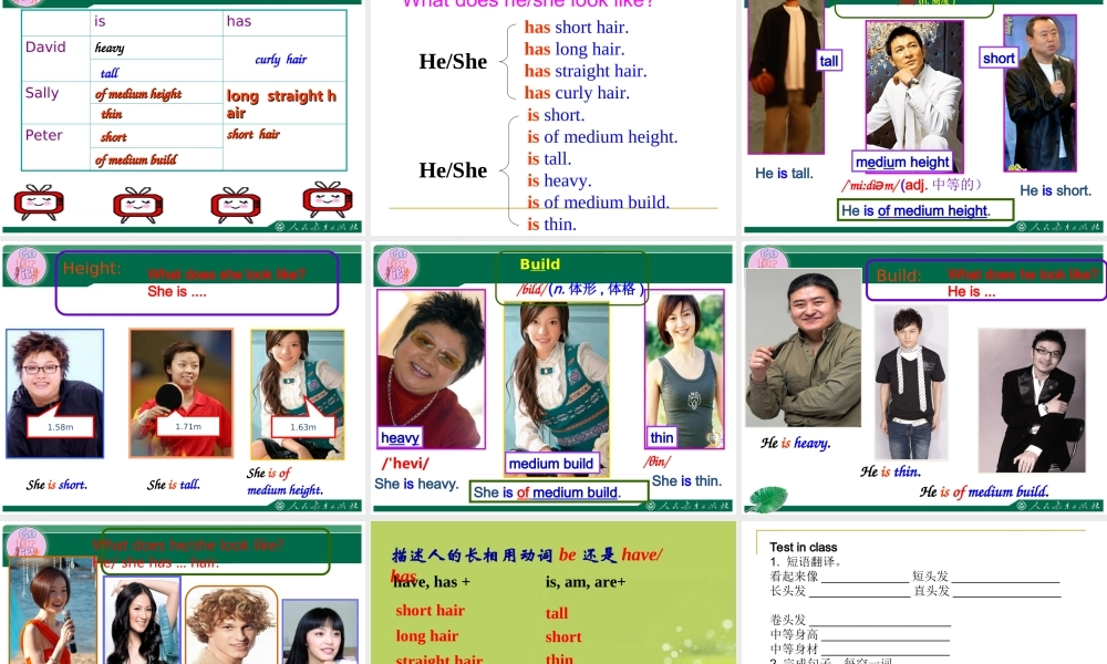 2013年新目标七年级英语下册Unit9_What_does_he_look_like_Section_A