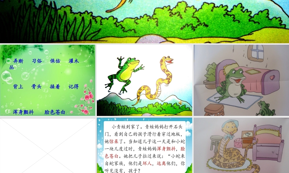 青蛙和蛇课件