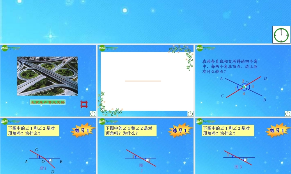 七年级数学下册 9.4对顶角课件 青岛版 课件