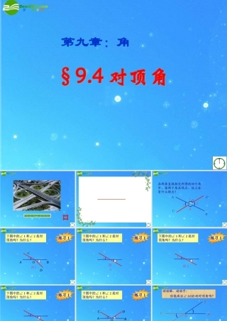 七年级数学下册 9.4对顶角课件 青岛版 课件