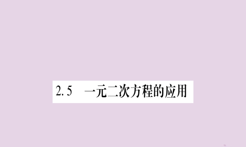 九年级数学上册 第2章 一元二次方程 25 一元二次方程的应用 第1课时 利润与增长率问题作业课件 (新版)湘教版 课件