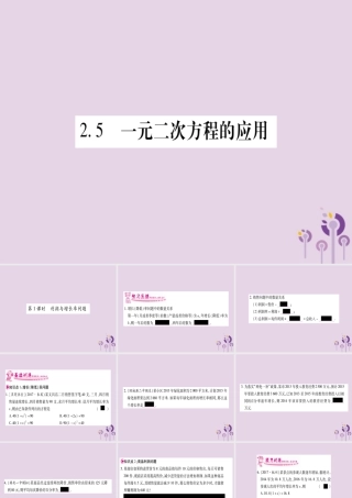 九年级数学上册 第2章 一元二次方程 25 一元二次方程的应用 第1课时 利润与增长率问题作业课件 (新版)湘教版 课件