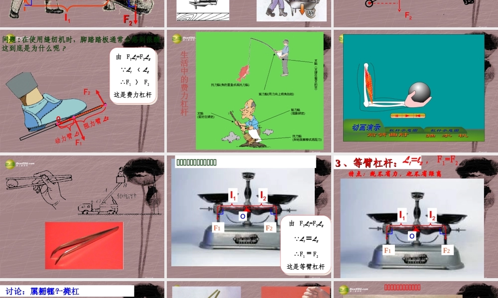 九年级科学 第三节 认识简单的机械(第三课时)课件