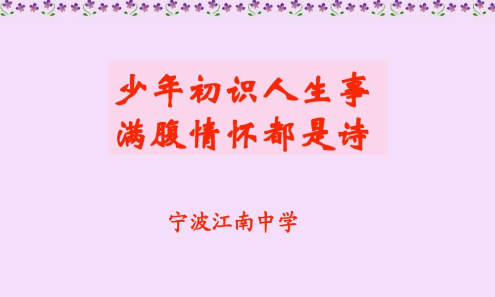 情怀总是诗课件 新课标 人教版 课件