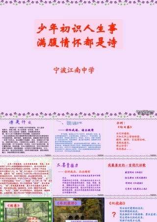 情怀总是诗课件 新课标 人教版 课件