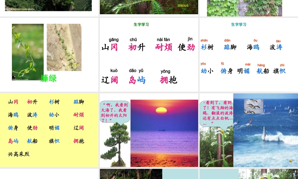 松树和青藤课件