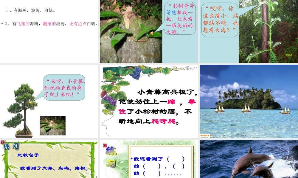 松树和青藤课件