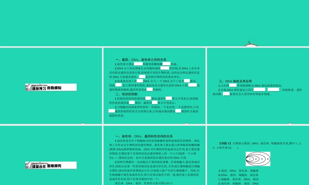 八年级生物下册 6.2.1 遗传(第2课时)课件 (新版)冀教版 课件
