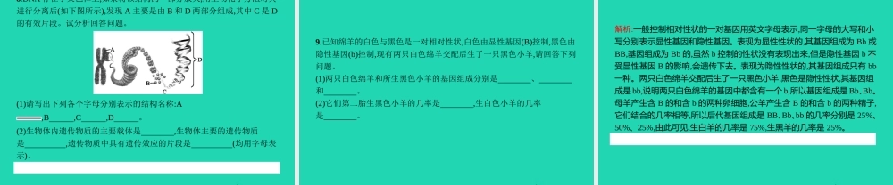 八年级生物下册 6.2.1 遗传(第2课时)课件 (新版)冀教版 课件