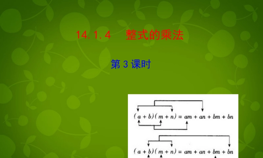 八年级数学上册 14.1.4 整式的乘法课件3 (新版)新人教版 课件