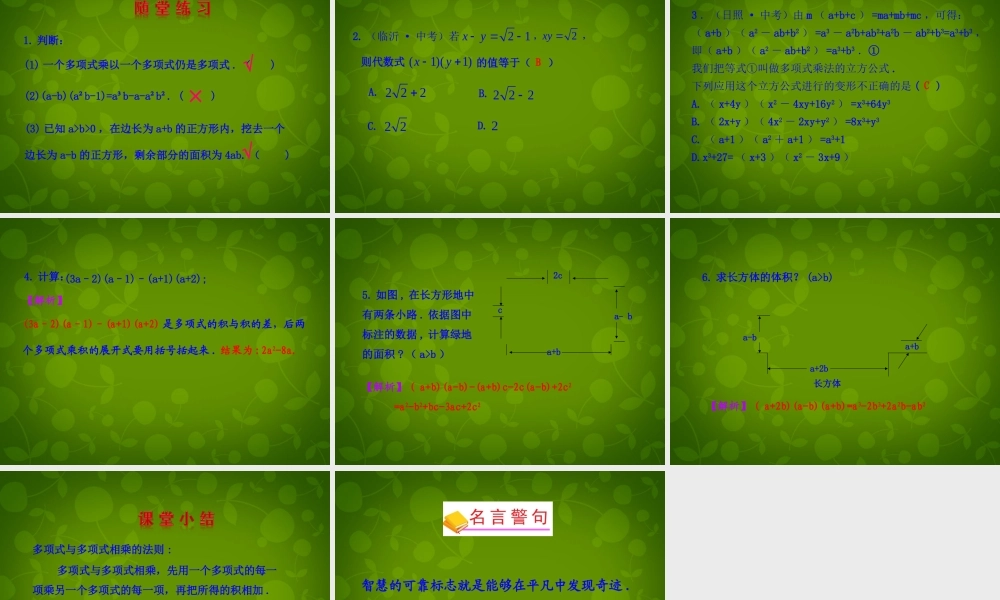 八年级数学上册 14.1.4 整式的乘法课件3 (新版)新人教版 课件