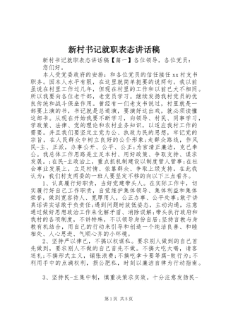 新村书记就职表态讲话稿