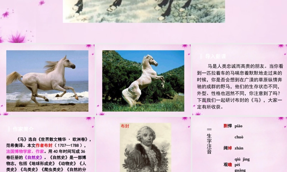 七年级语文下册 第29课(马)课件 新人教版 课件