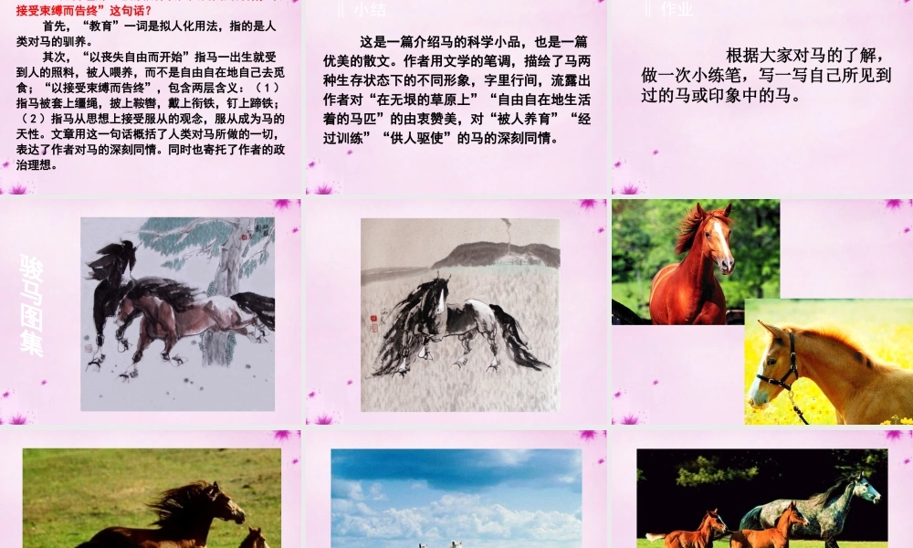 七年级语文下册 第29课(马)课件 新人教版 课件