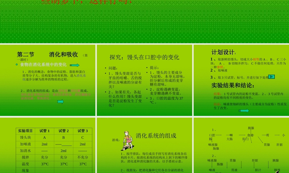 七年级生物下册 消化和吸收课件 人教新课标版 课件
