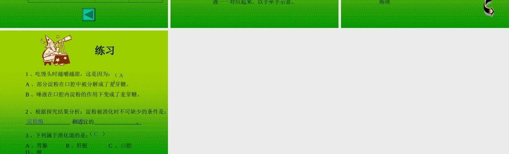 七年级生物下册 消化和吸收课件 人教新课标版 课件