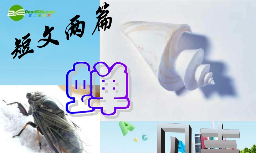 七年级语文上册 (短文两篇)(蝉,贝壳) 课件 人教新课标版 课件