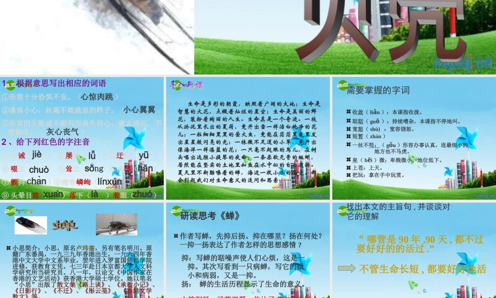 七年级语文上册 (短文两篇)(蝉,贝壳) 课件 人教新课标版 课件