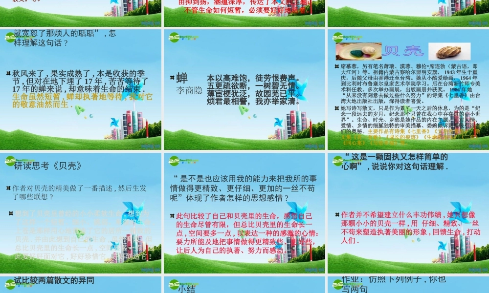 七年级语文上册 (短文两篇)(蝉,贝壳) 课件 人教新课标版 课件