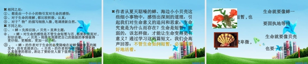 七年级语文上册 (短文两篇)(蝉,贝壳) 课件 人教新课标版 课件