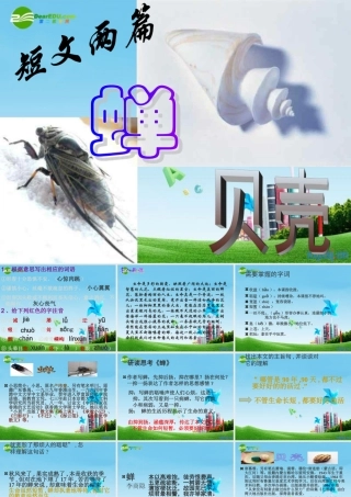 七年级语文上册 (短文两篇)(蝉,贝壳) 课件 人教新课标版 课件