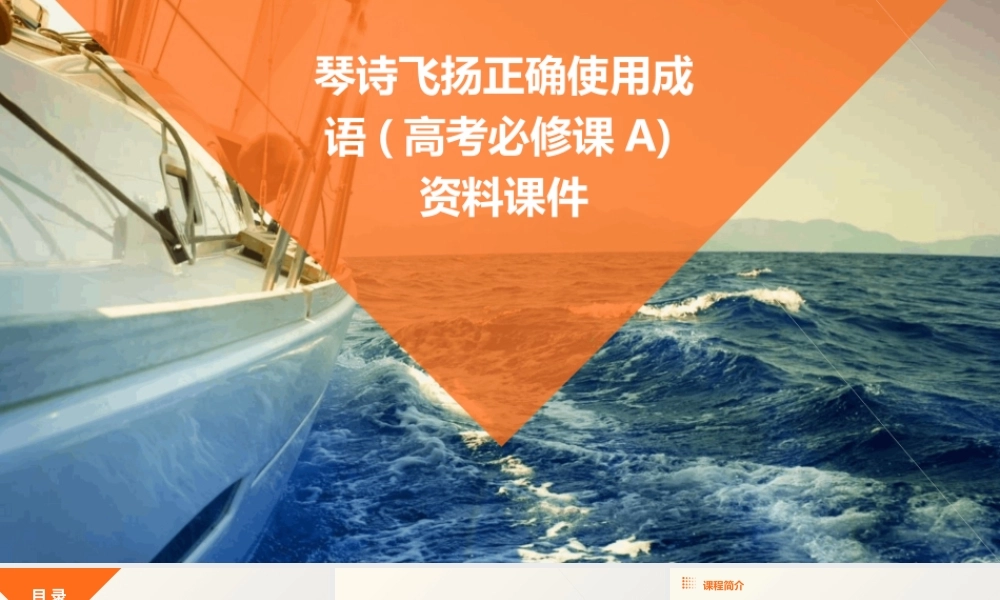 琴诗飞扬正确使用成语(高考必修课A)资料课件